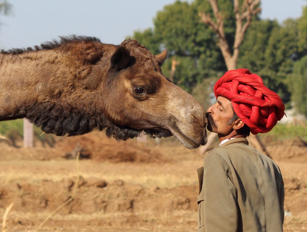Pastoralists have a personal relationship with their animals.
Photo credit: Chantal Sauret