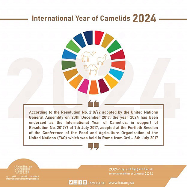 UN announces 2024 as International Year of Camelids League for